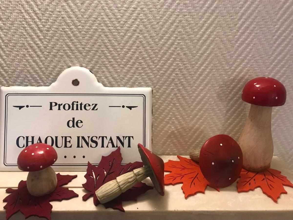 Appartement Chez Fabie Селеста Екстер'єр фото